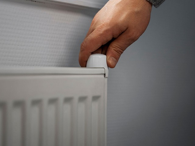 Imagen 2 secuendaria 2